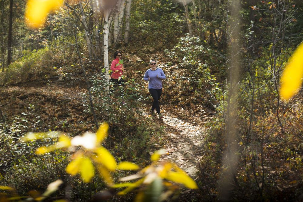 Découvrir les infrastructures sportives